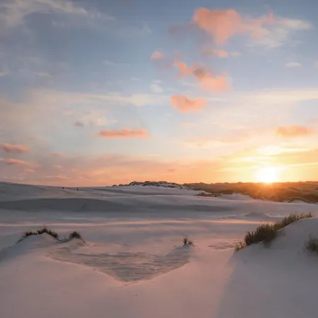 霍约斯巴德酒店 坎迪斯蒂德尼
