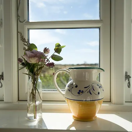 霍约斯巴德酒店 坎迪斯蒂德尼